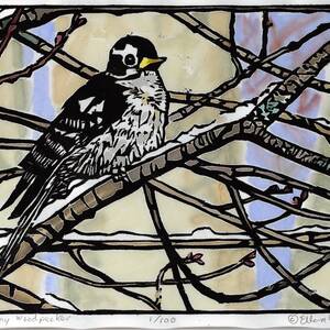 Downy Woodpecker.jpg